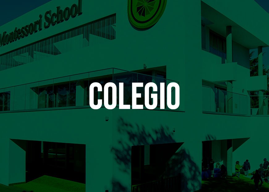 foto-colegio-montessori-madrid-colegio