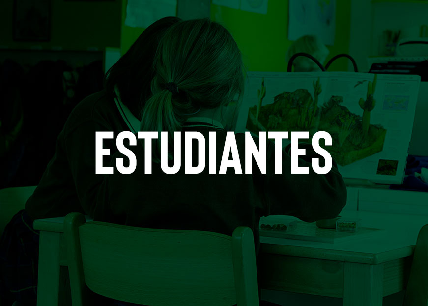 foto-colegio-montessori-madrid-estudiantes