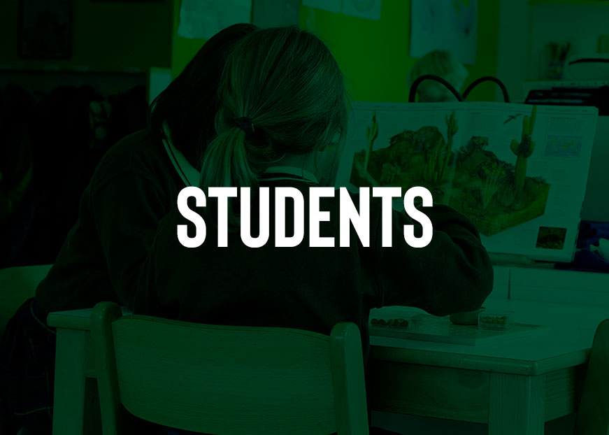 foto-colegio-montessori-madrid-en-students