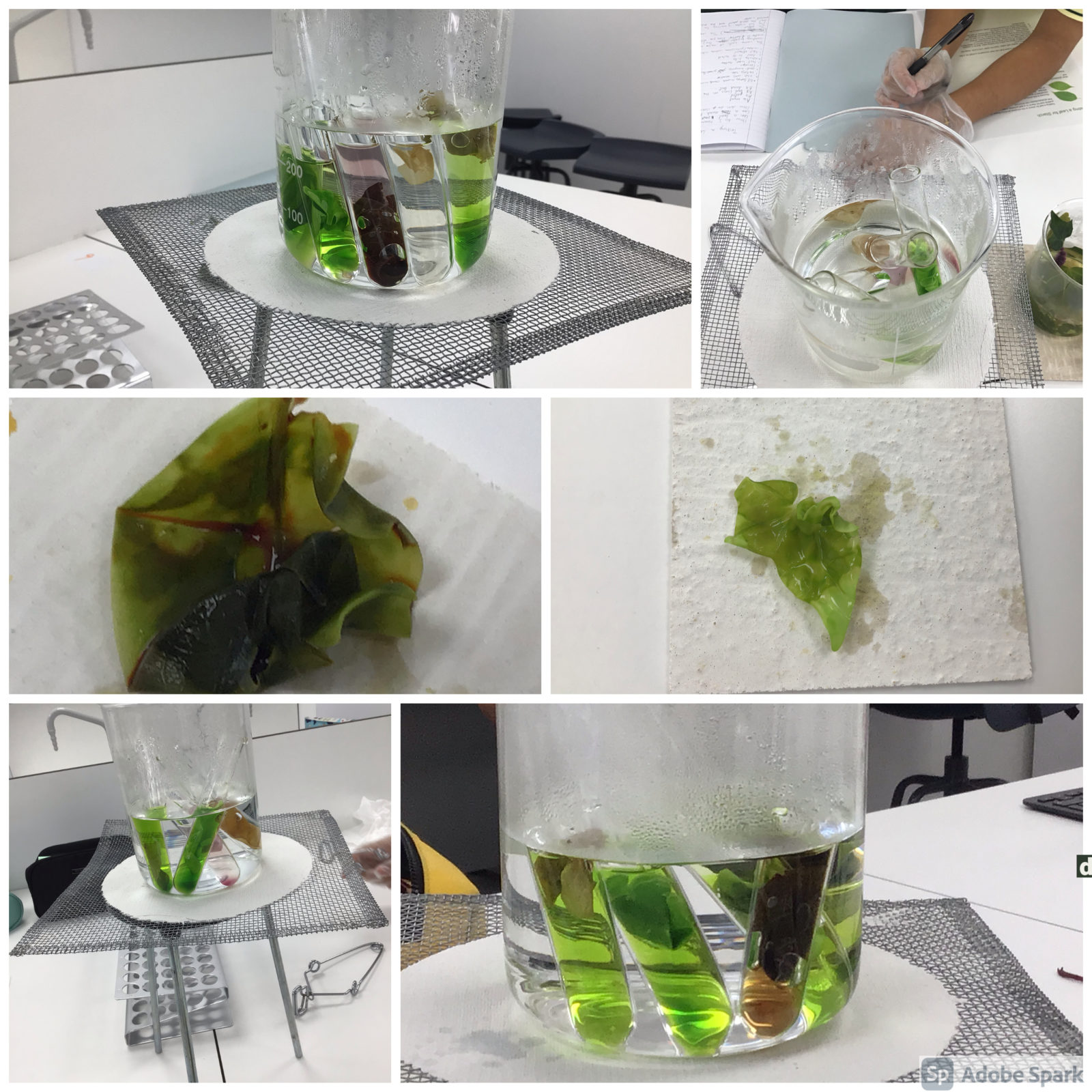 sciencesecondary