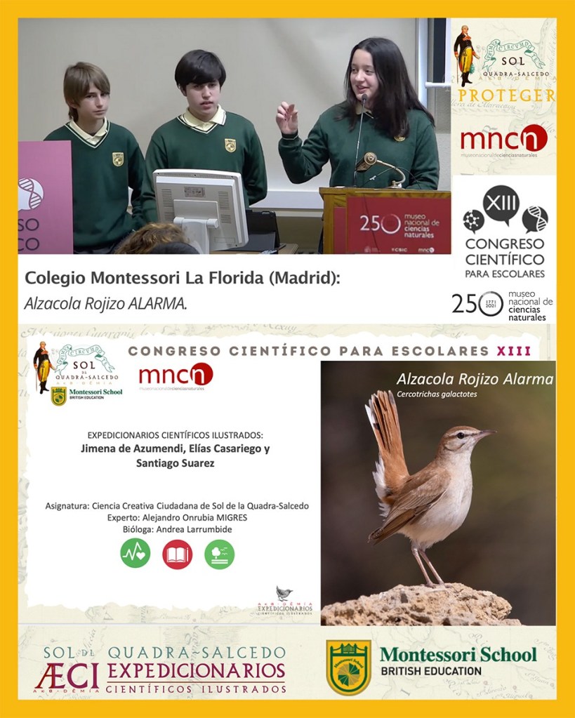 Grupo día 2 Alzacola Rojizo ALARMA @Sol de la Quadra-Salcedo_00