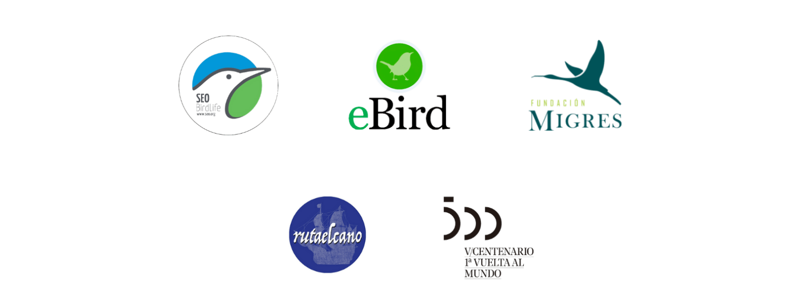Logo Seobird
