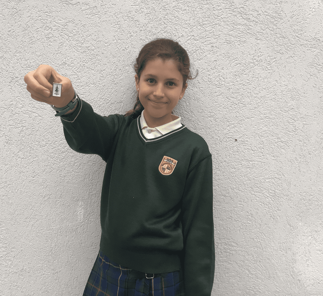 montessori florida secondary newsletter fir